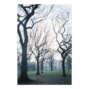 USA, New York, New York City: Central Park Fotodruck