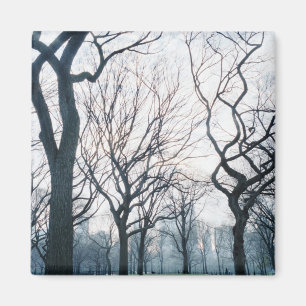 USA, New York, New York City: Central Park Magnet