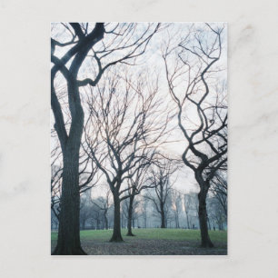 USA, New York, New York City: Central Park Postkarte