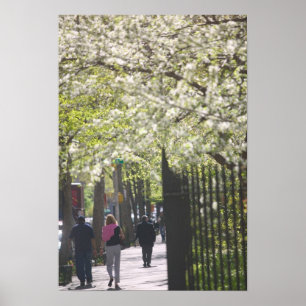 USA, New York, New York City, Manhattan: 8 Poster