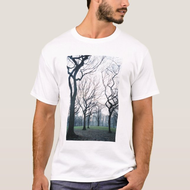 USA, New York, New York City:Zentralpark T-Shirt (Vorderseite)