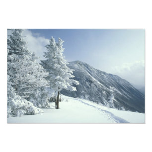 USA, NH, schneebedeckte Bäume Wege Snoeshoe Fotodruck