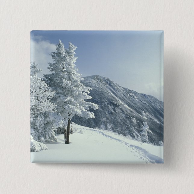 USA, NH, Schneebedeckte Baumwege Snoeshoe Button (Vorderseite)