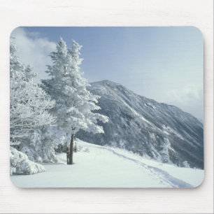 USA, NH, Schneebedeckte Baumwege Snoeshoe Mousepad