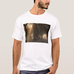 USA; Nordamerika; Georgia; Savannah. Jungen T-Shirt