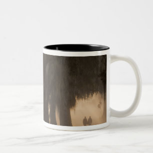 USA;Nordamerika; Georgien; Savannah. Boys Zweifarbige Tasse