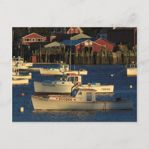 USA, Nordamerika, Maine, Bernard, Fischerei Postkarte