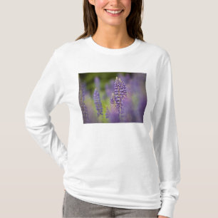 USA, Nordost-Minnesota, nahe Silver Bay, T-Shirt
