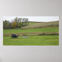 USA, Nordost-Ohio. Amish-Buggy im Betrieb