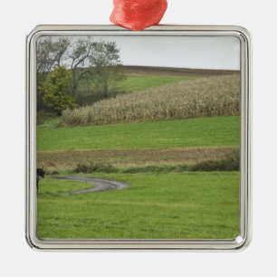 USA, Nordost-Ohio. Amish-Kutsche auf Bauernhof Silbernes Ornament