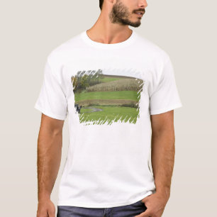 USA, Nordost-Ohio. Amish-Kutsche auf Bauernhof T-Shirt