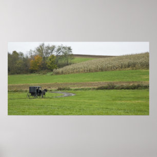 USA, Nordost-Ohio. Amish-Kutsche auf dem Bauernhof Poster