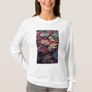 USA, Nordwestpazifik. Blätter aus japanischem Ahor T-Shirt