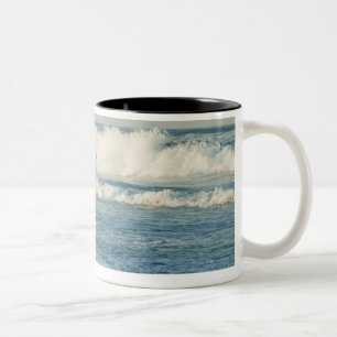 USA, North Carolina, äußere Banken, Tötungs-Teu Zweifarbige Tasse