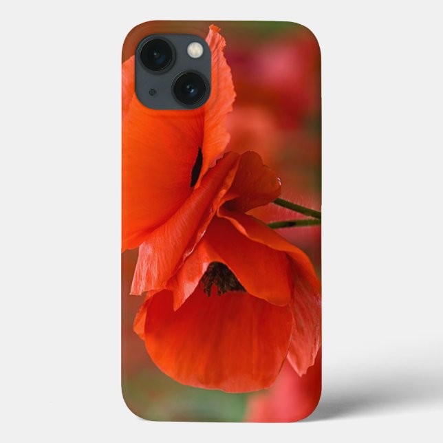 USA, North Carolina. Close-up of poppy Case-Mate iPhone Hülle (Rückseite)