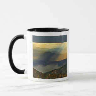 USA, North Carolina, Great Smoky Mountains. Tasse
