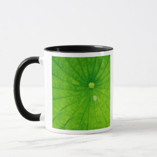 USA; North Carolina Lotusblatt mit Tau Tasse