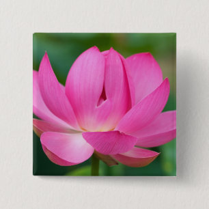 USA; North Carolina Lotusblüte Button