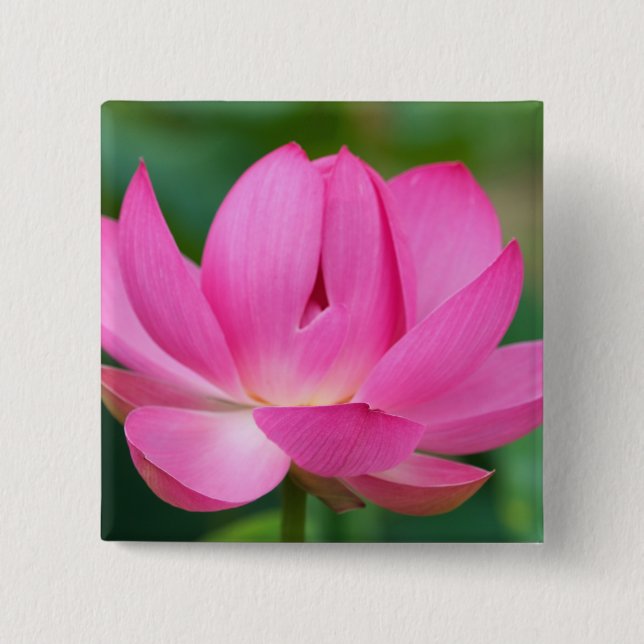  USA; North Carolina Lotusblüte Button (Vorderseite)