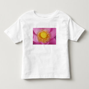 USA; North Carolina; Lotusblüten in der Kleinkind T-shirt
