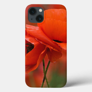 USA, North Carolina. Nahaufnahme von Mohn Case-Mate iPhone Hülle