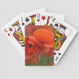 USA, North Carolina. Nahaufnahme von Mohn Spielkarten