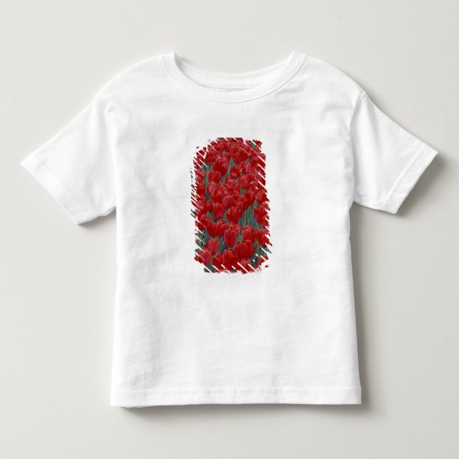 USA, Ohio, Cincinnati. Bett aus roten Tulpen Kleinkind T-shirt (Vorderseite)
