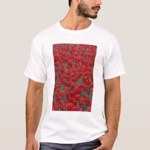 USA, Ohio, Cincinnati. Bett aus roten Tulpen T-Shirt