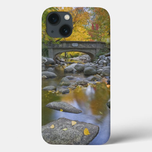 USA, Oregon, Ashland, Lithia Park. Autumn Case-Mate iPhone Hülle (Rückseite)