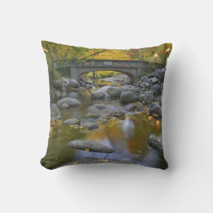 USA, Oregon, Ashland, Lithia Park.Herbst Kissen