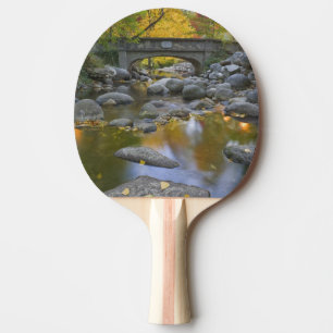 USA, Oregon, Ashland, Lithia Park. Herbst Tischtennis Schläger