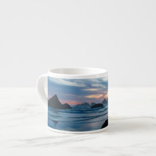 USA, Oregon, Bandon Beach. Möwe auf Felsen Espressotasse