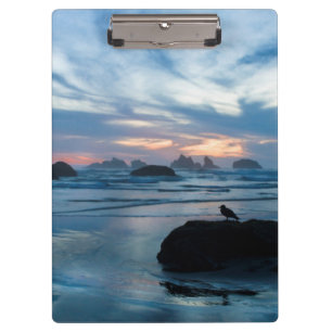 USA, Oregon, Bandon Beach. Möwe auf Felsen Klemmbrett