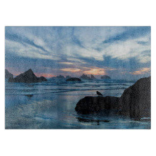 USA, Oregon, Bandon Beach. Möwe auf Felsen Schneidebrett