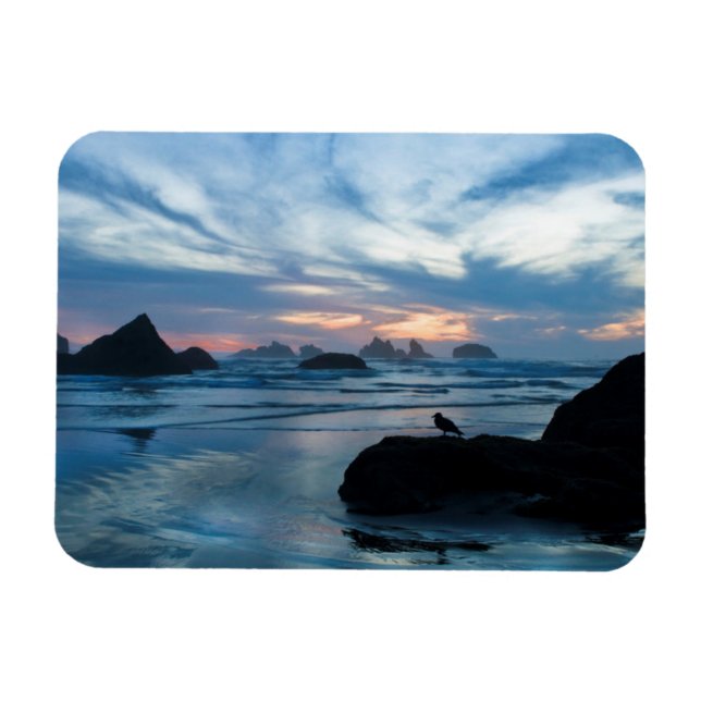 USA, Oregon, Bandon Beach. Seagull auf Felsen Magnet (Horizontal)