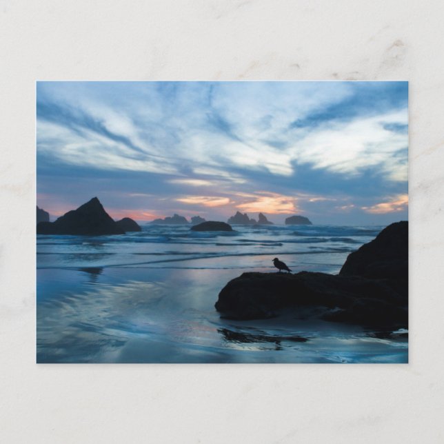 USA, Oregon, Bandon Beach. Seagull auf Felsen Postkarte (Vorderseite)