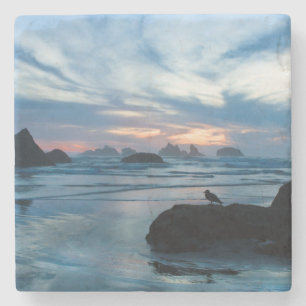 USA, Oregon, Bandon Beach. Seagull auf Felsen Steinuntersetzer