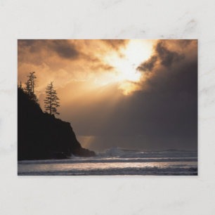 USA, Oregon, bei Oswald West State Park, Spät Postkarte