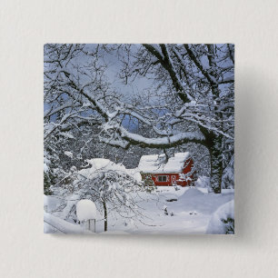 USA, Oregon, Clackamas County. Frischer Schnee Button