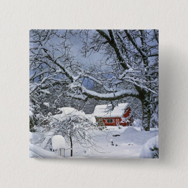 USA, Oregon, Clackamas County. Frischer Schnee Button (Vorderseite)