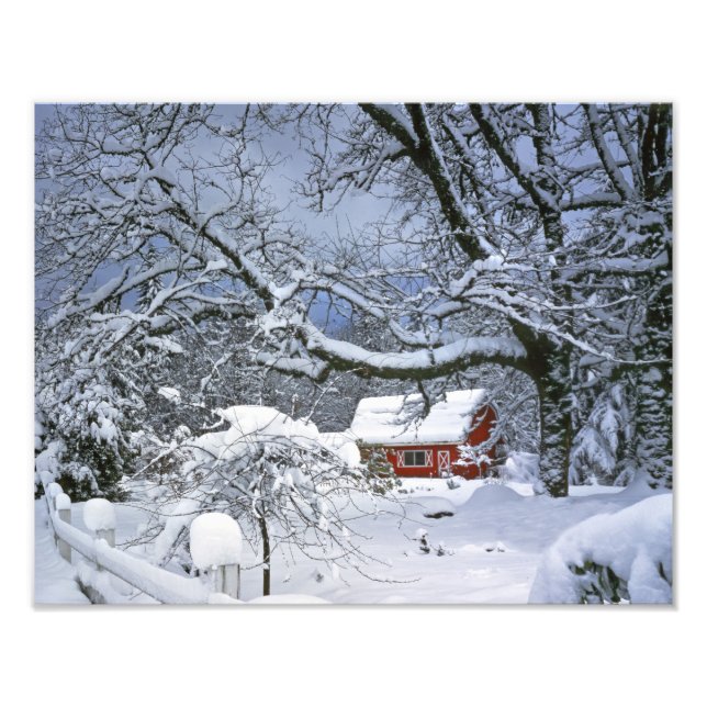 USA, Oregon, Clackamas Landkreis. Frischer Schnee Fotodruck (Vorne)