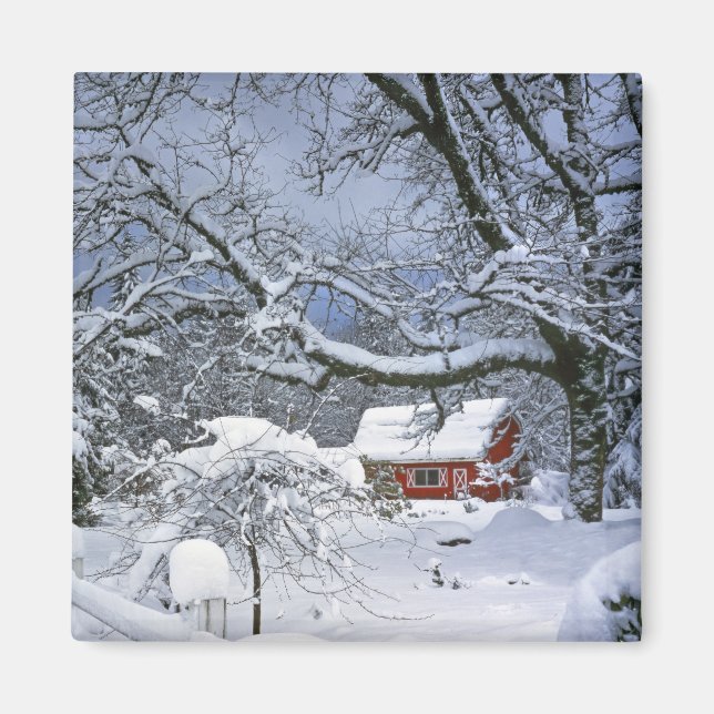 USA, Oregon, Clackamas Landkreis. Frischer Schnee Magnet (Vorne)