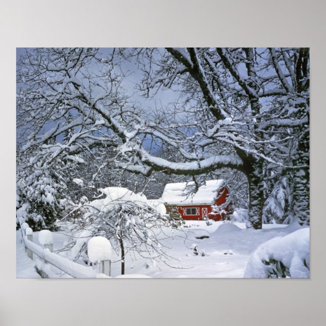 USA, Oregon, Clackamas Landkreis. Frischer Schnee Poster (Vorne)