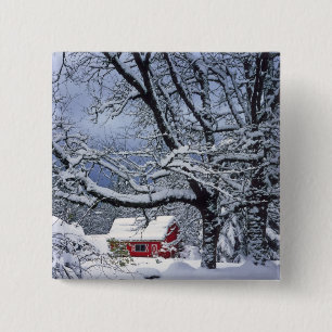 USA, Oregon, Clackamas Landkreis. Frischschneebede Button