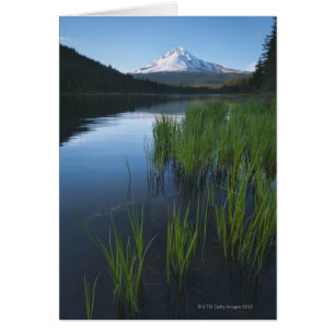 USA, Oregon, Clackamas Landkreis, View of Trillium