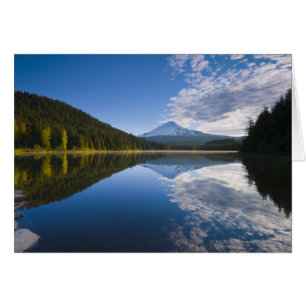USA, Oregon, Clackamas Landkreis, View of Trillium