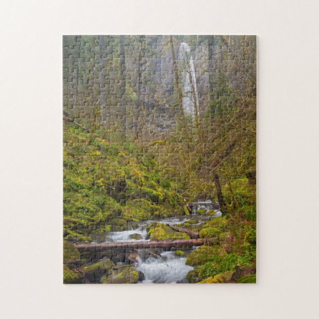 USA, Oregon, Columbia Gorge (Vertikal)