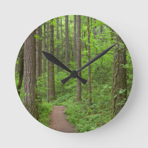 USA, Oregon, Columbia River Gorge. Elowah Falls Runde Wanduhr