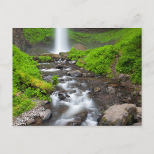 USA, Oregon, Columbia River Gorge, Latourell Postkarte
