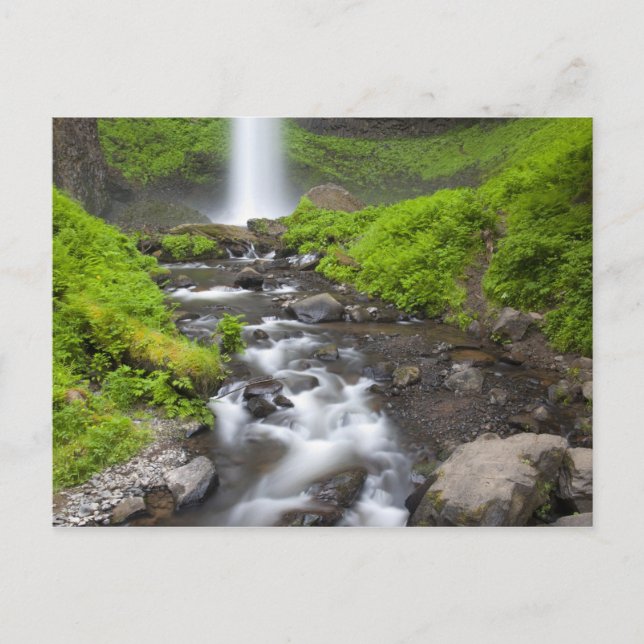 USA, Oregon, Columbia River Gorge, Latourell Postkarte (Vorderseite)